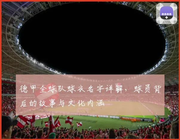 德甲全球队球衣名字详解，球员背后的故事与文化内涵