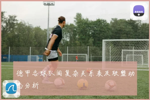 德甲各球队间复杂关系表及联盟动态分析