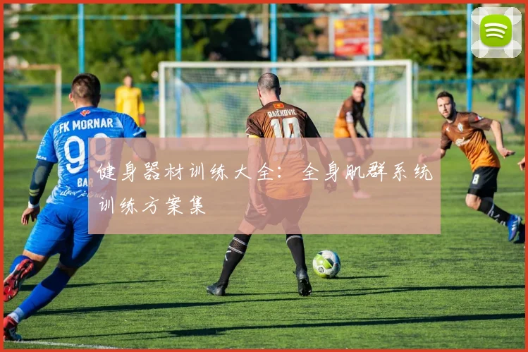 健身器材训练大全：全身肌群系统训练方案集