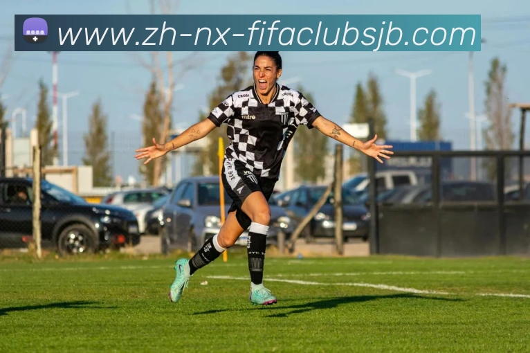 世界杯赛程平台生态图