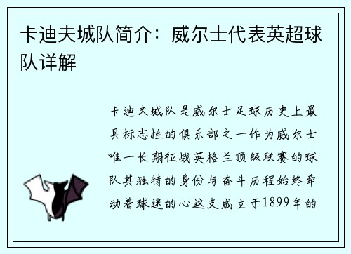 卡迪夫城队简介：威尔士代表英超球队详解