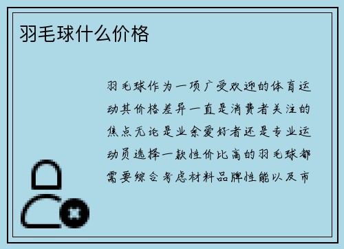 羽毛球什么价格